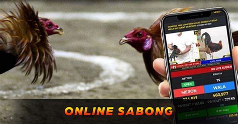 super pakwan pinayflix|Vidjakol Kapalit ng Pangtalpak sa Online Sabong .